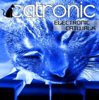 electronic catwalk 2010